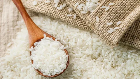 برنج طارم جواهری دانه بلند و خوش ‌پخت طعم اصیل شمال